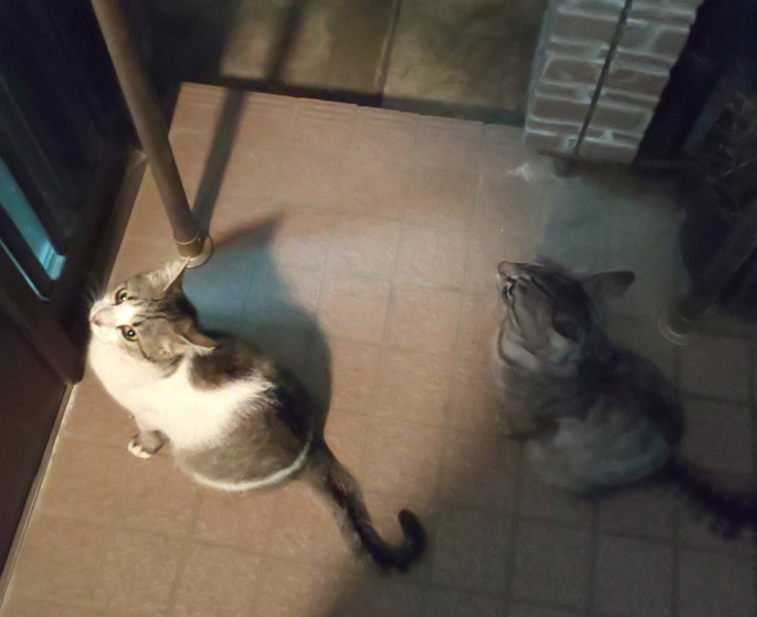 N-ONEのてつやんさんが投稿したカスタム事例の投稿画像5枚目