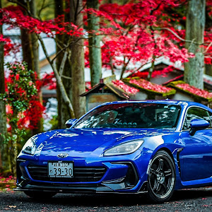 BRZ ZD8