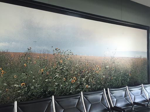 Wildflower Mural By Gate C46