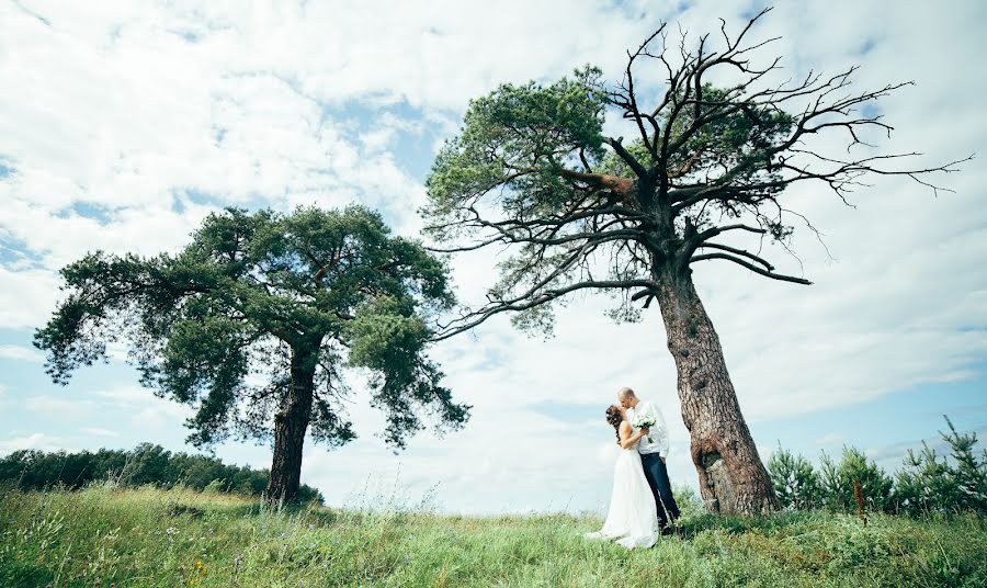 Wedding photographer Dmitriy Denisov (steve). Photo of 9 July 2016