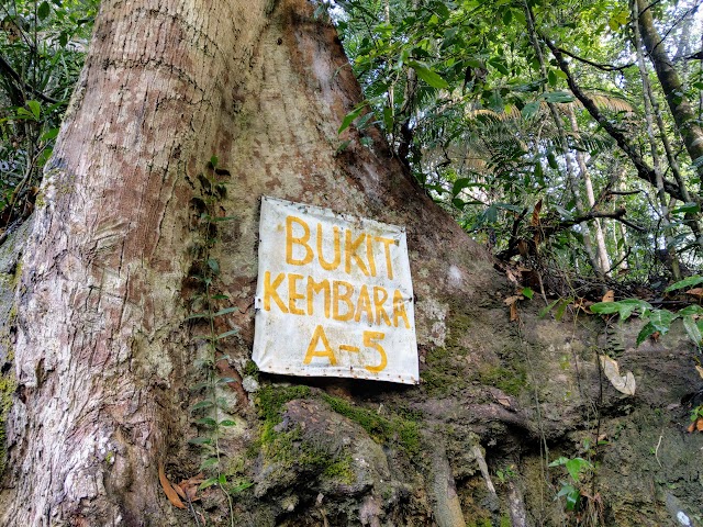 Bukit Kembara Hiking Trail