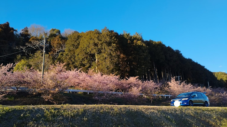 の投稿画像10枚目