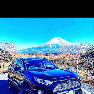 RAV4 AXAH52