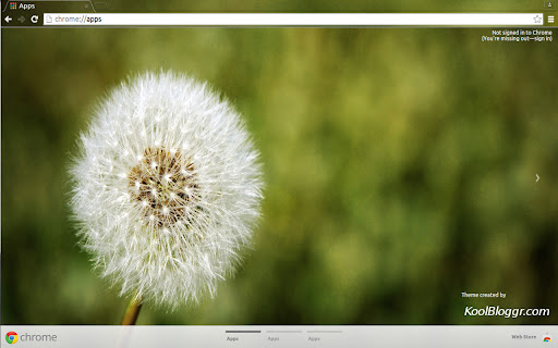 Dandelion 2