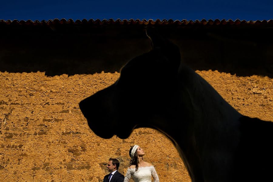 Hochzeitsfotograf Fernando Garcia (fernandogarcia). Foto vom 21. Januar 2015