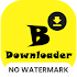 Video Downloader for Buigo1.2