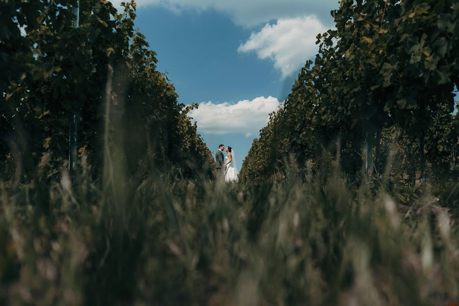 Fotógrafo de bodas Imre Bellon (imrebellon). Foto del 12 de octubre 2018