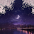 Night view cherry blossom icon