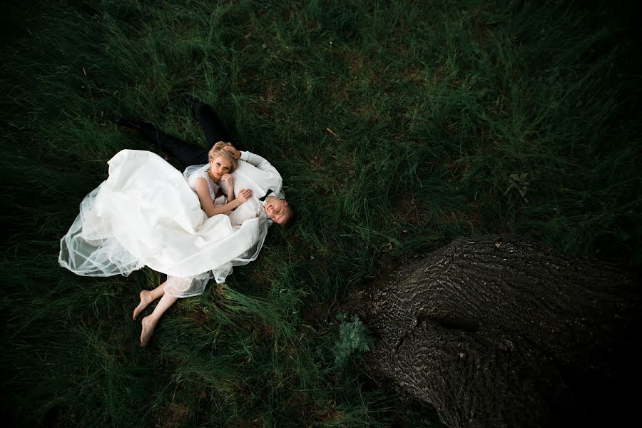 Fotografo di matrimoni Viktoriya Petrenko (vi4i). Foto del 16 giugno 2016