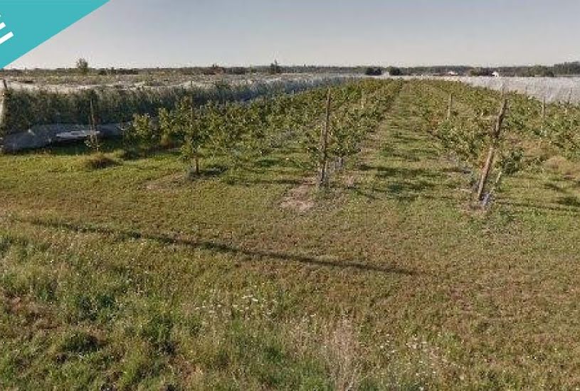  Vente Terrain à bâtir - 87 000m² à Reyniès (82370) 