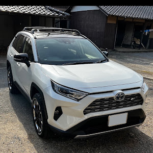 RAV4 MXAA54