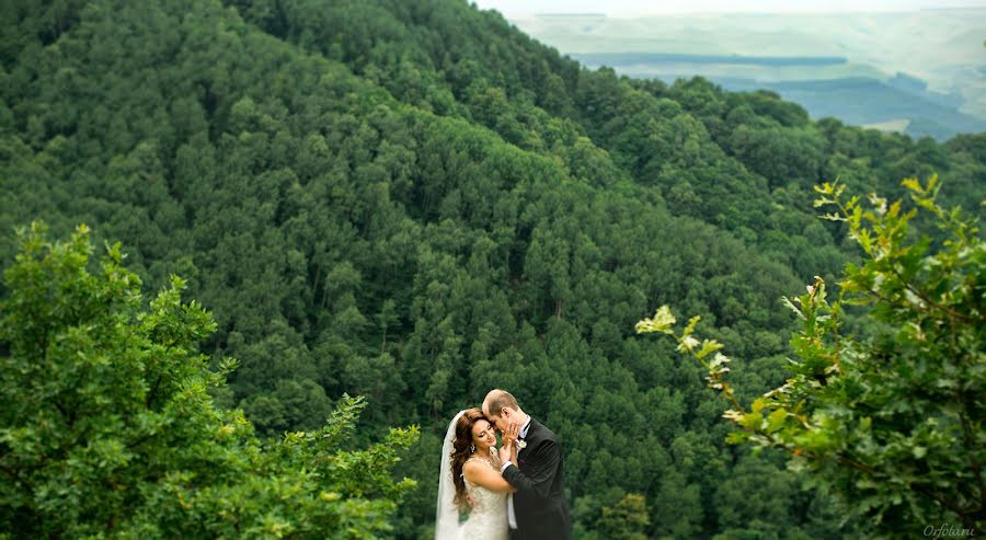 Wedding photographer Darya Orfeeva (orfeeva). Photo of 21 March 2016