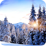 Winter Paradise Live Wallpaper icon