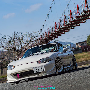 ロードスター NB8C