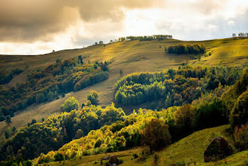 terrain à Pelousey (25)