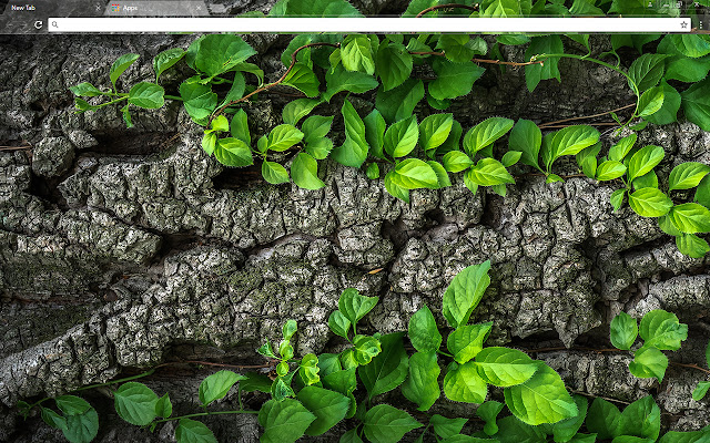 Tree Bark chrome extension