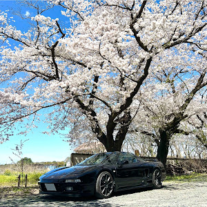 NSX NA1