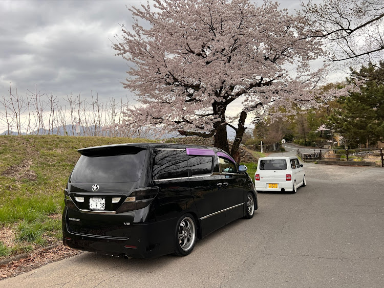 ヴェルファイアのラパンコラボ・サクラと愛車・目指せPickUpCarsに関するカスタム事例の投稿画像2枚目