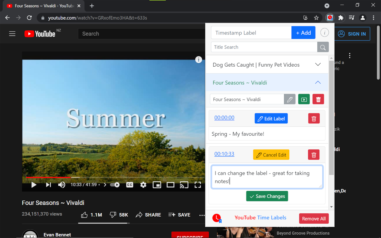 YouTube Time Labels Preview image 2