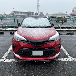 C-HR NGX10