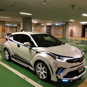 C-HR ZYX10