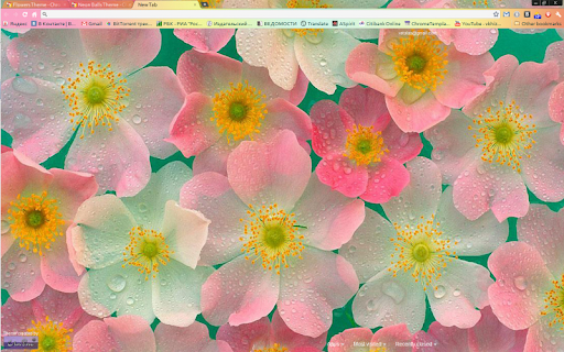 Flowers Theme