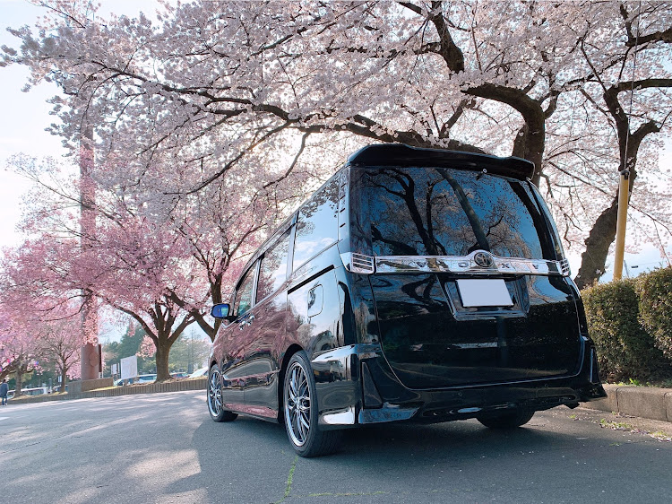 ヴォクシーの桜とコラボ・桜と愛車・ピックアップ一度でも載ってみたい・映え・ベストショットに関するカスタム事例の投稿画像4枚目