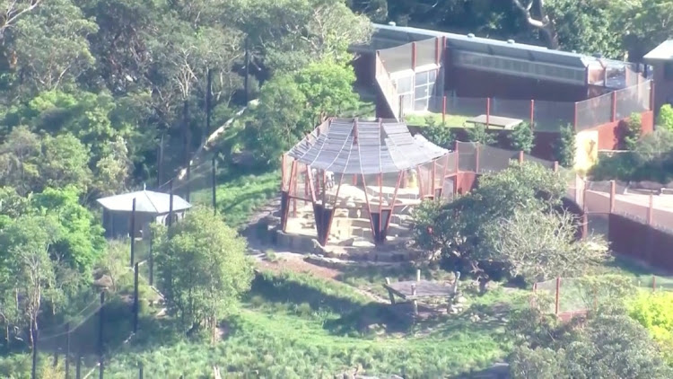 A view of a lion enclosure, after escaped lions were contained, at Taronga Zoo in Sydney, Australia, November 2, 2022