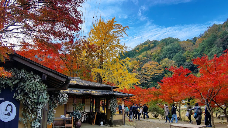 クラウンロイヤルの紅葉ドライブ・香嵐渓・赤い橋・春秋風亭に関するカスタム事例の投稿画像3枚目