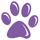FluffyRx - Pet Medications Download on Windows