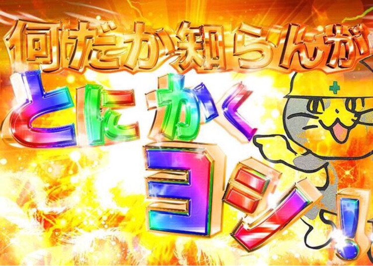 アルテッツァのラジエーター・ヤフオクで落札・PCR検査・現場猫に関するカスタム事例の投稿画像3枚目