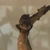 ユーザー