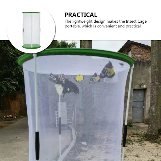 Butterfly Insect Cage Observation Butterflies Habitat Kids Portable Breeding House Visible Insects