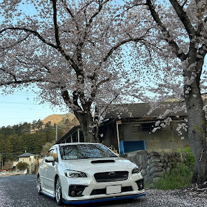 WRX S4 VAG