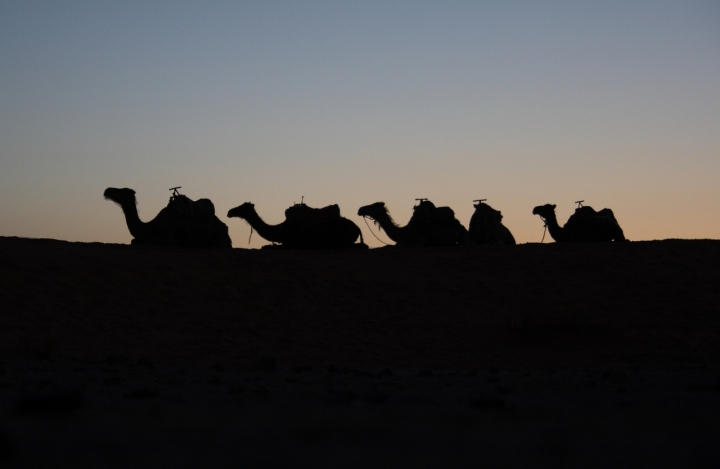 Carovana nel Maghreb di cesare