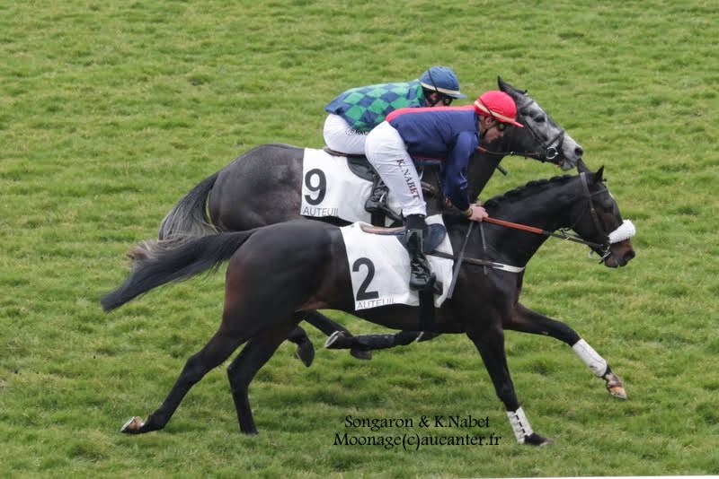 Photos Auteuil 14-03-2015 Ja4r2cStC9JeLxIDM-WyPJHBJonovH3-YE4j22xdk-AZ=w800-h534-no