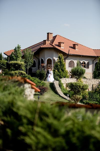 Photographe de mariage Valeriu Ostap (valeriuostap). Photo du 14 février 2018