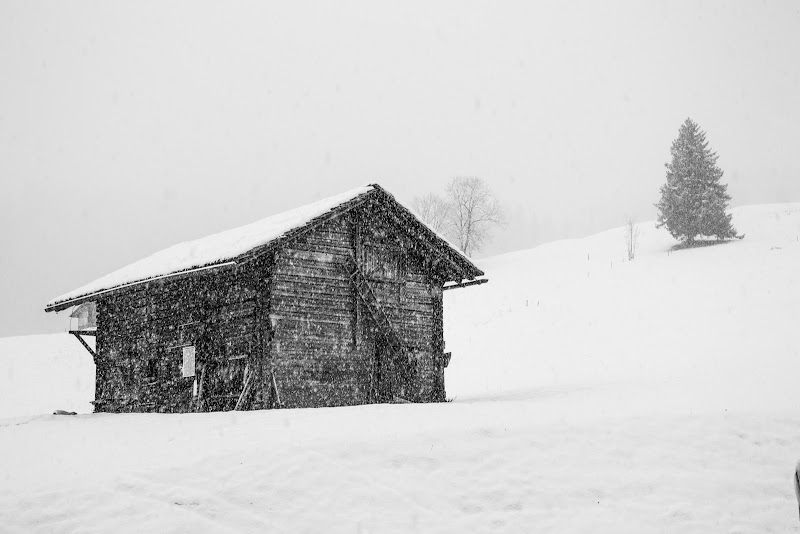 Snow storm di FilippoColombo