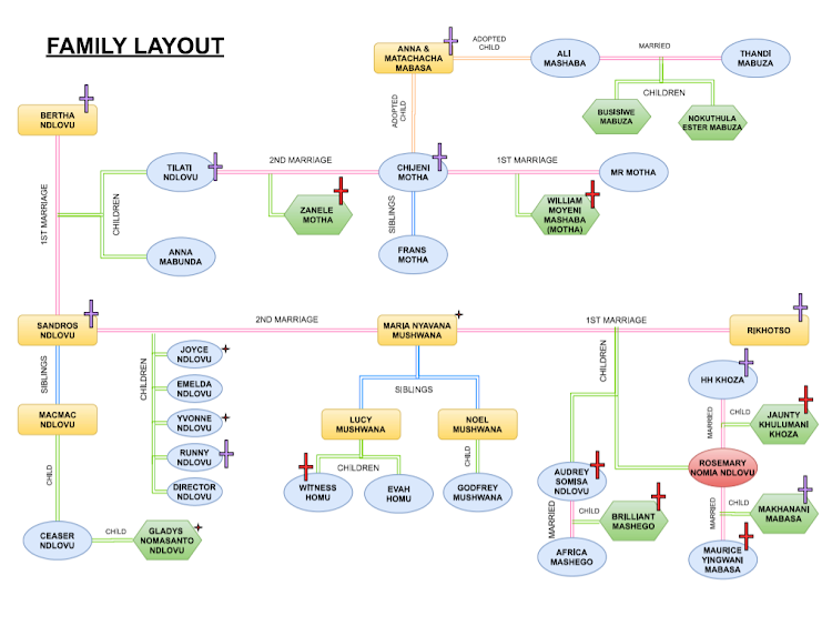 The state provided Nomia Ndlovu's family tree as evidence. All relatives with a red cross have died, allegedly through her actions. Those with smaller stars next to their names were alleged to have been on her hit list. Those with purple crosses also died but their deaths have not necessarily been linked to Ndlovu.