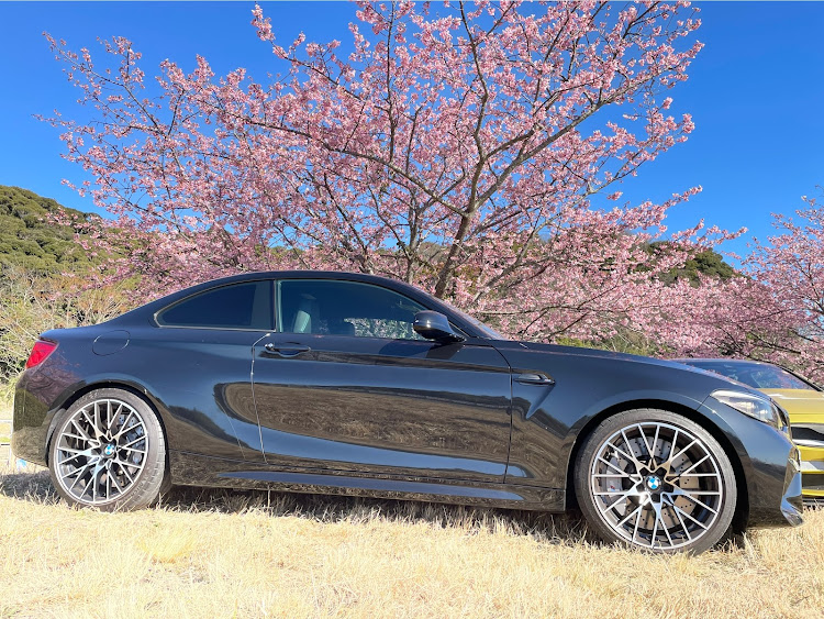 M4 クーペの2月26日は・カズさんと撮影巡り・港と富士山と海上保安船・河津桜に関するカスタム事例の投稿画像14枚目