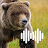 Bear Hunting Calls icon
