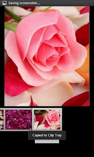 How to mod Rose Petals Live Wallpaper 1.2 apk for android