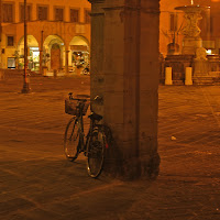 Bici in Piazza dei Leoni di 