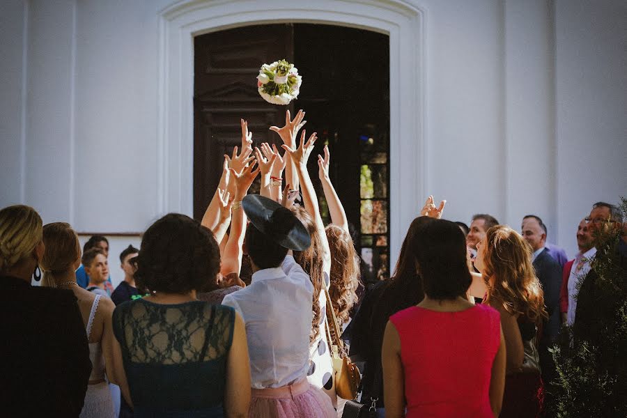 Fotógrafo de casamento Marko Milivojevic (milivojevic). Foto de 26 de agosto 2019