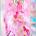 Sakura flower wallpapers icon