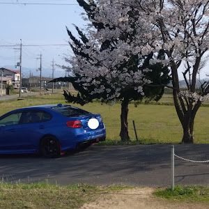 WRX STI VAB