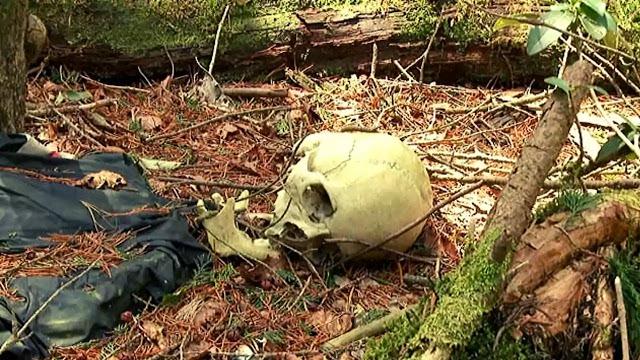 Aokigahara forest dead bodies