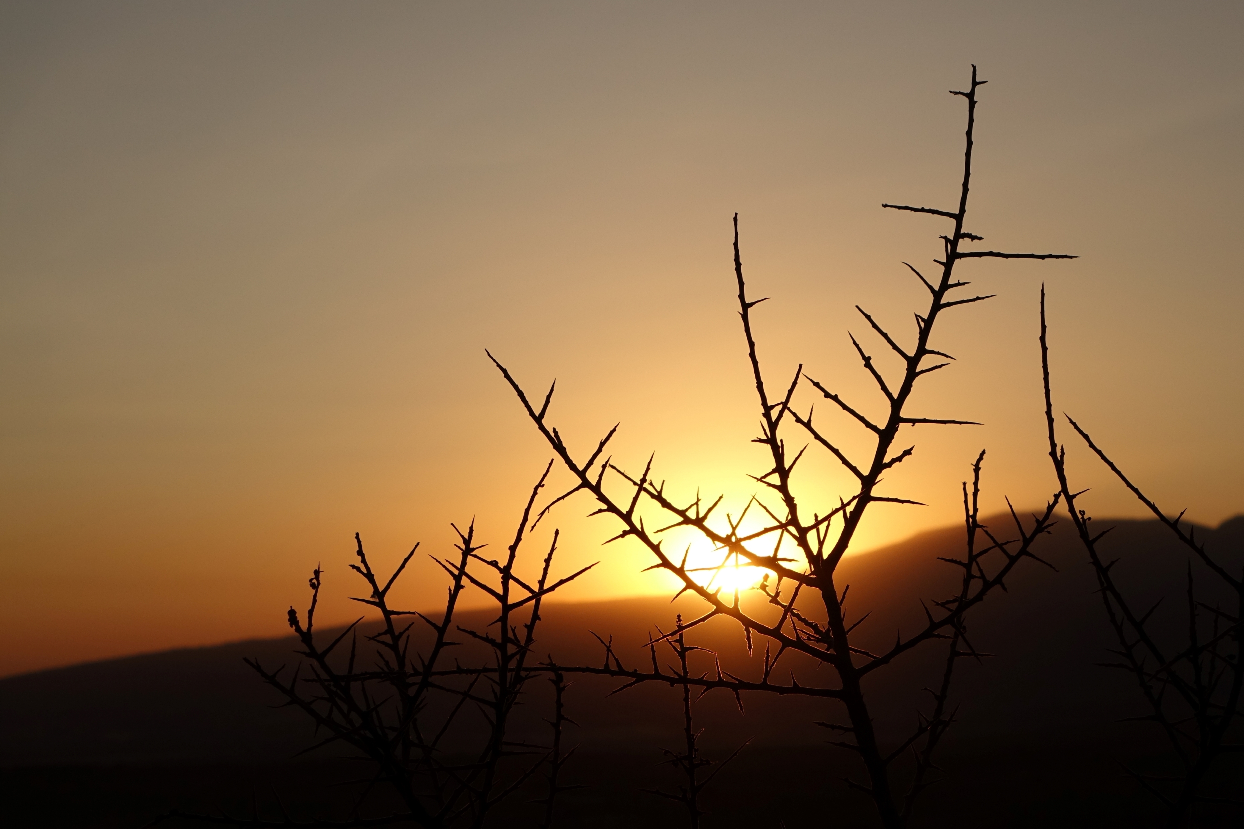 Tramonto di Alessandro Pezzo