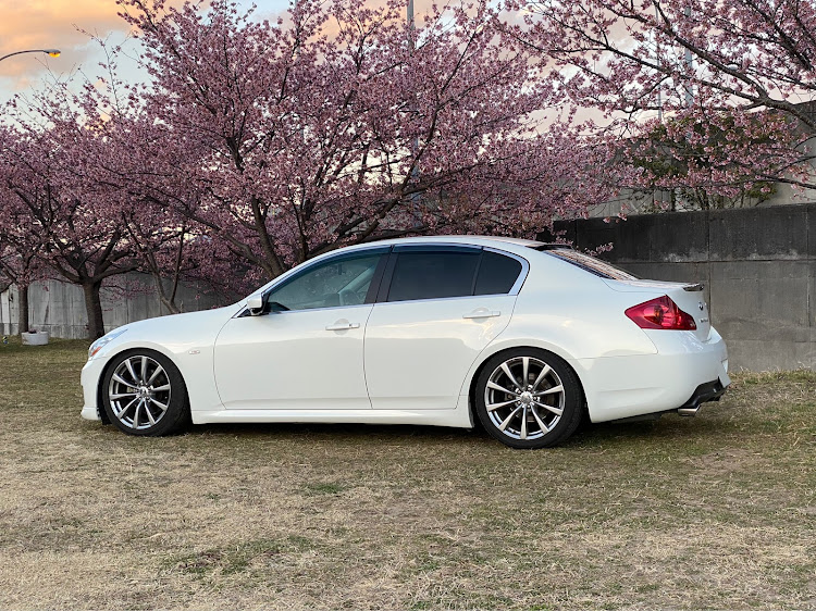 スカイラインのINFINITI G25・河津桜並木・エンジンチェックランプ点灯😱リセット😆・TAS学習・戦争反対に関するカスタム事例の投稿画像11枚目