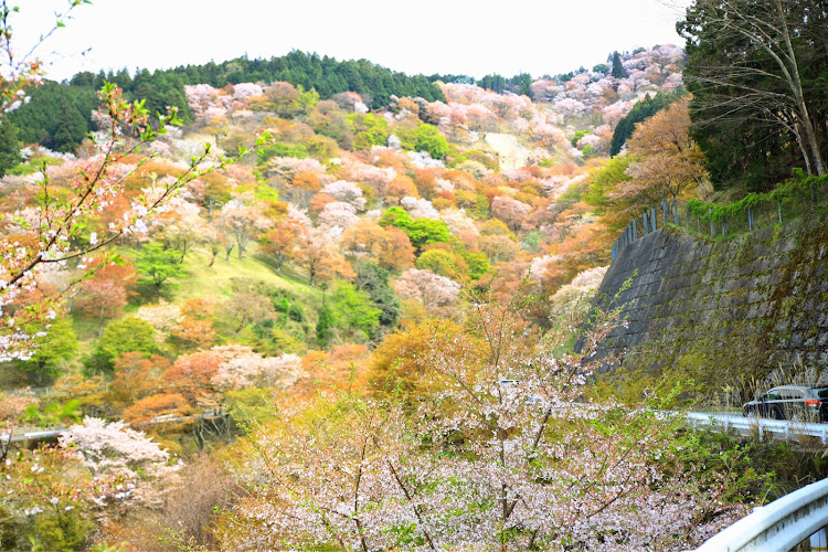 の投稿画像3枚目